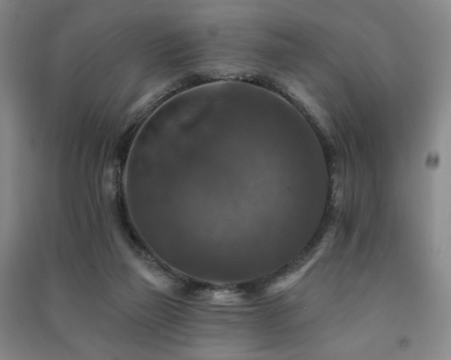 X0000091460165200708161529