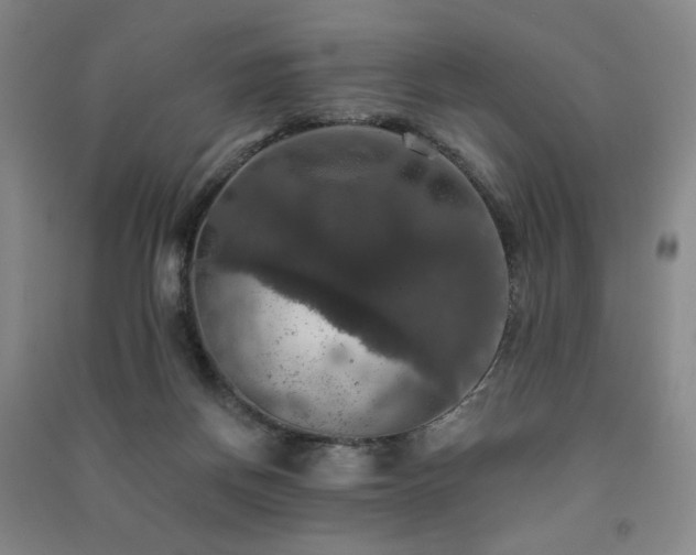 X0000091460166200708161529