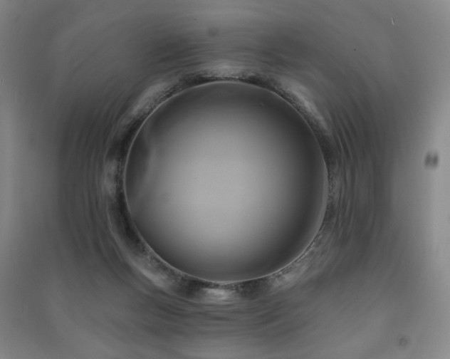 X0000091460167200708161529