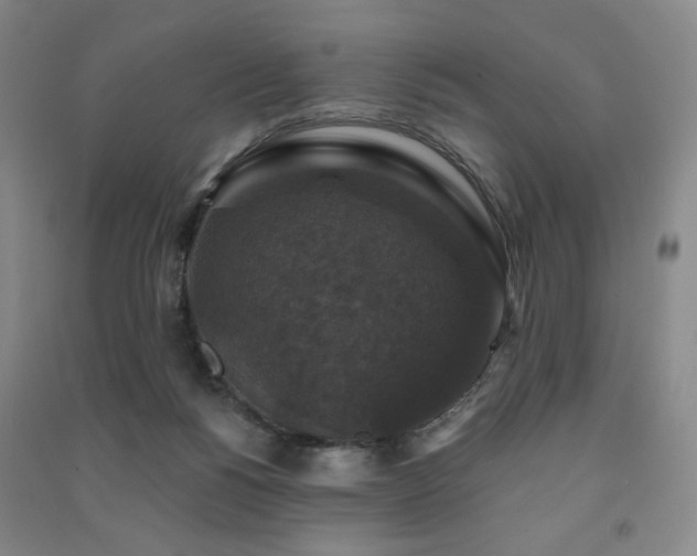 X0000091460168200708161529