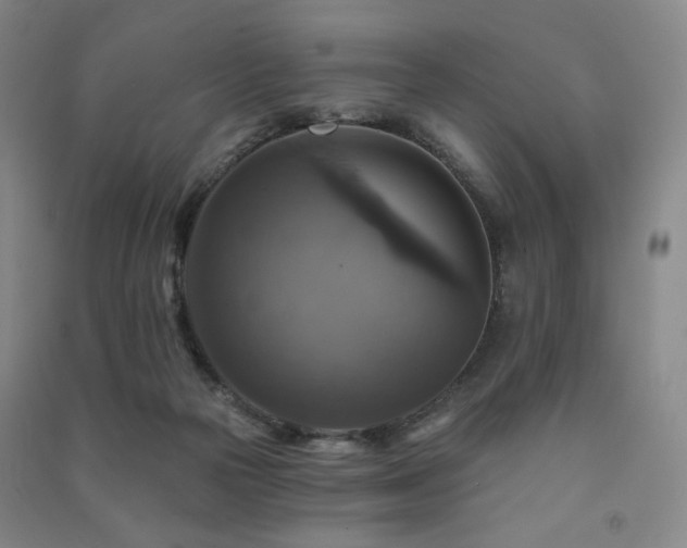 X0000091460169200708161529