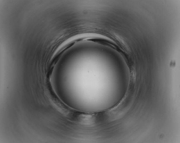 X0000091460170200708161529