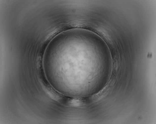X0000091460171200708161529