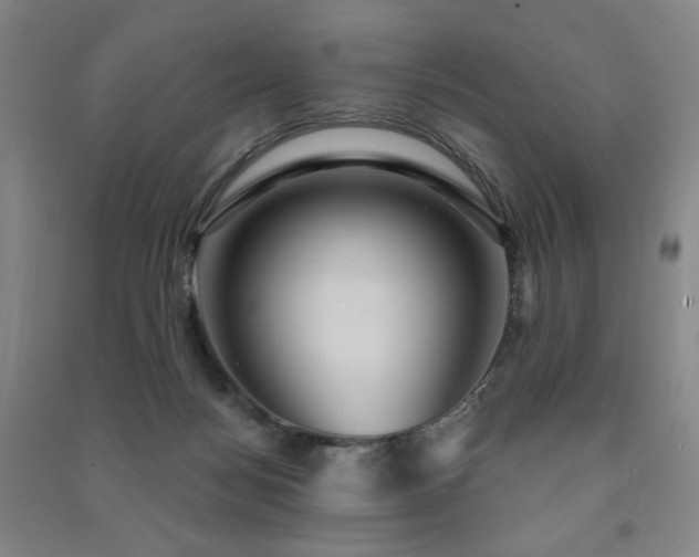 X0000091460172200708161529