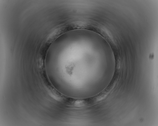 X0000091460173200708161529