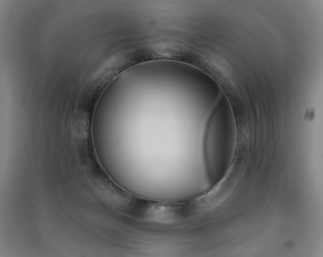 X0000091460174200708161529