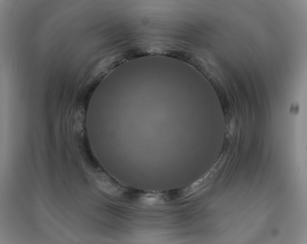 X0000091460175200708161529