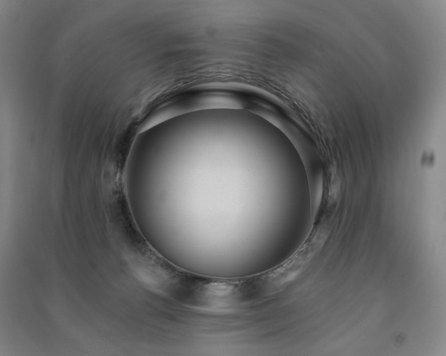 X0000091460176200708161529