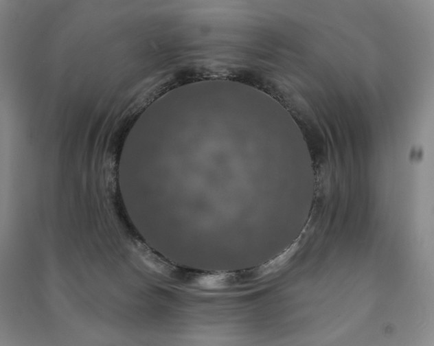 X0000091460178200708161529