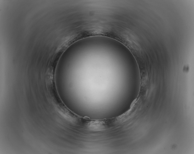 X0000091460179200708161529