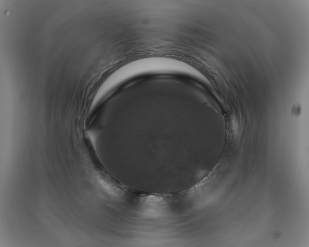 X0000091460180200708161529