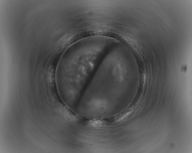 X0000091460181200708161529
