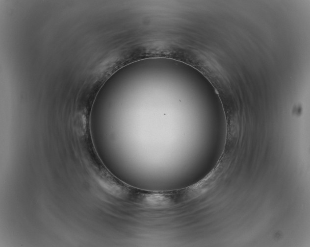 X0000091460183200708161529