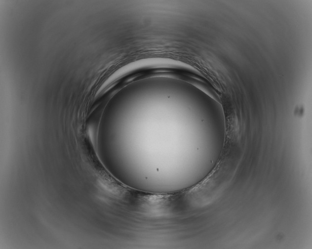 X0000091460184200708161529