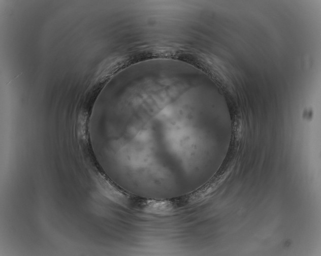X0000091460185200708161529