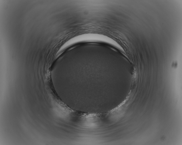 X0000091460186200708161529