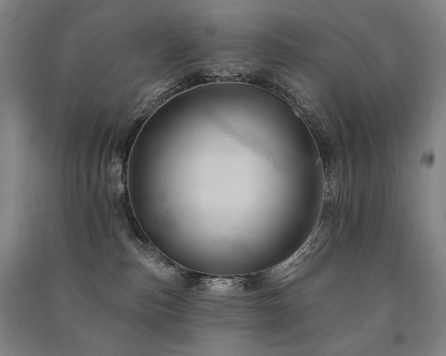 X0000091460187200708161529