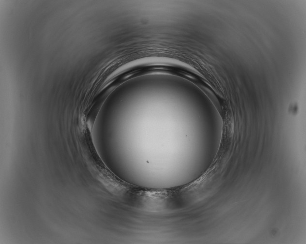X0000091460188200708161529