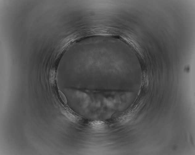 X0000091460189200708161529