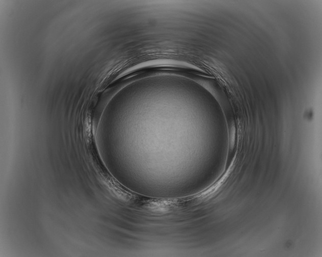X0000091460190200708161529