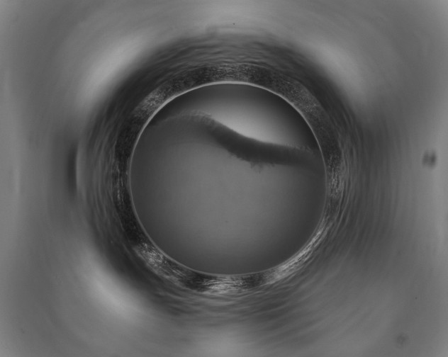 X0000091460191200708161529