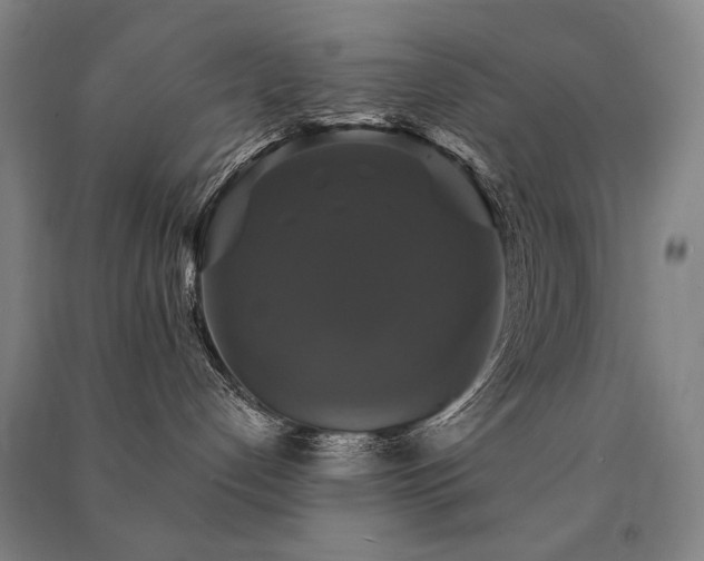 X0000091460192200708161529