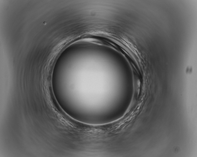 X0000091460193200708161529