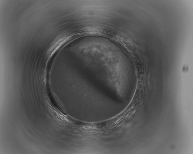 X0000091460194200708161529