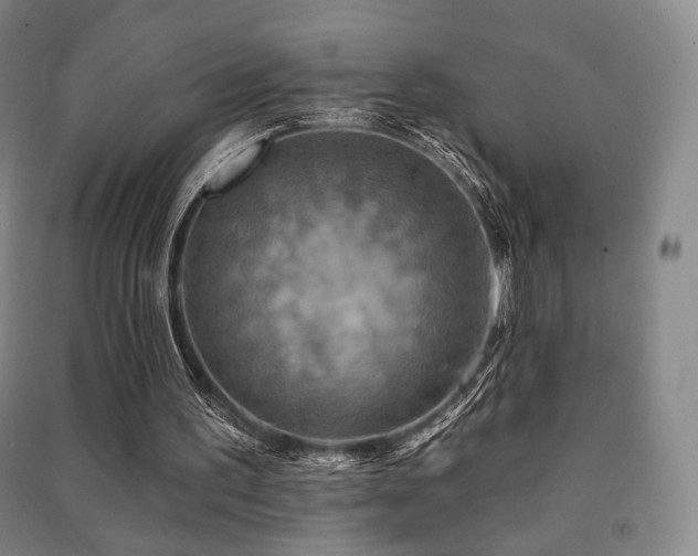 X0000091460195200708161529