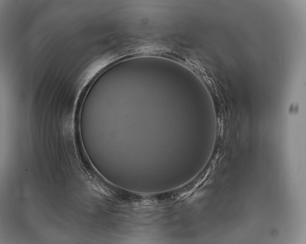 X0000091460196200708161529