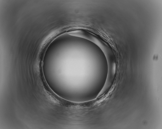 X0000091460197200708161529