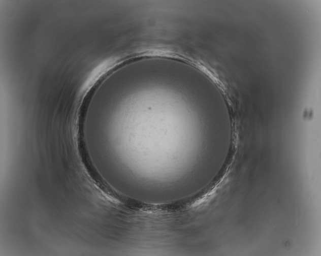 X0000091460199200708161529