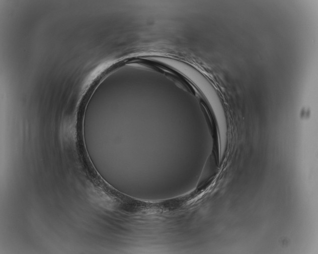 X0000091460200200708161529
