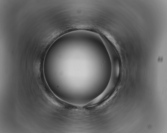 X0000091460201200708161529