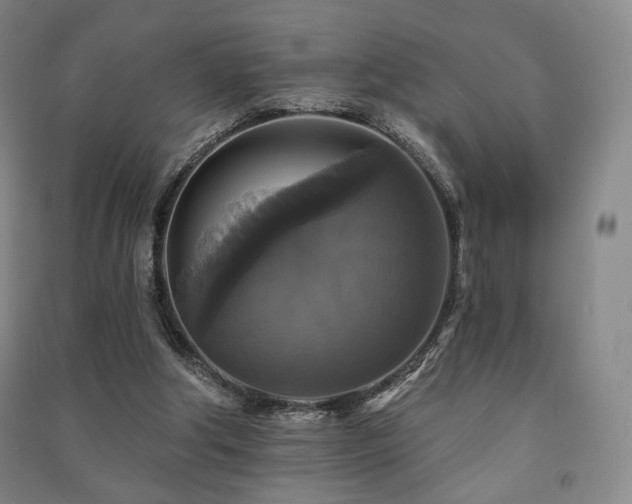X0000091460202200708161529
