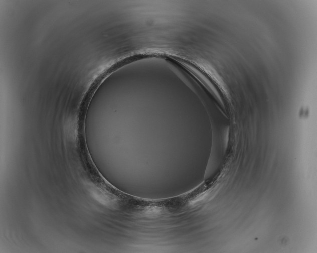 X0000091460204200708161529