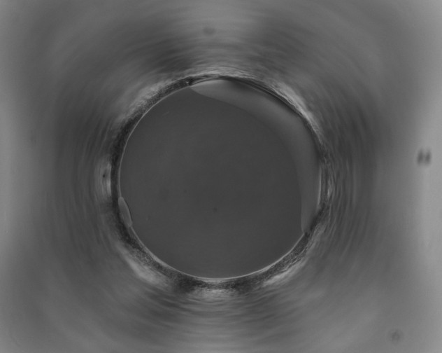 X0000091460205200708161529