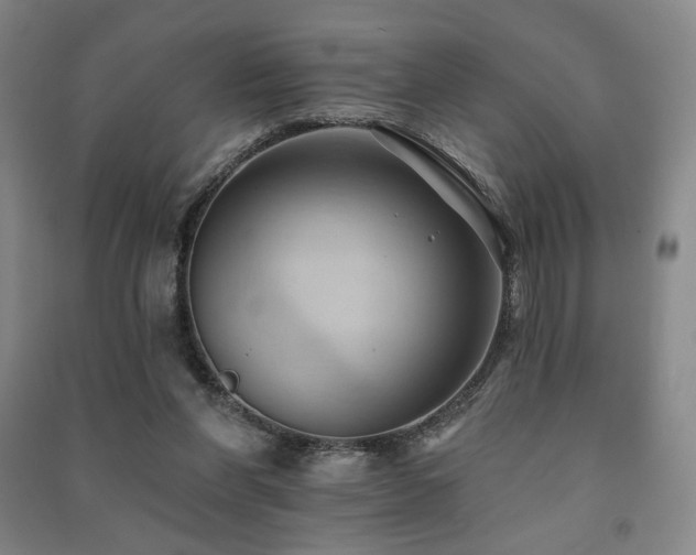 X0000091460206200708161529