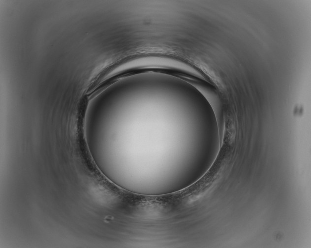 X0000091460207200708161529