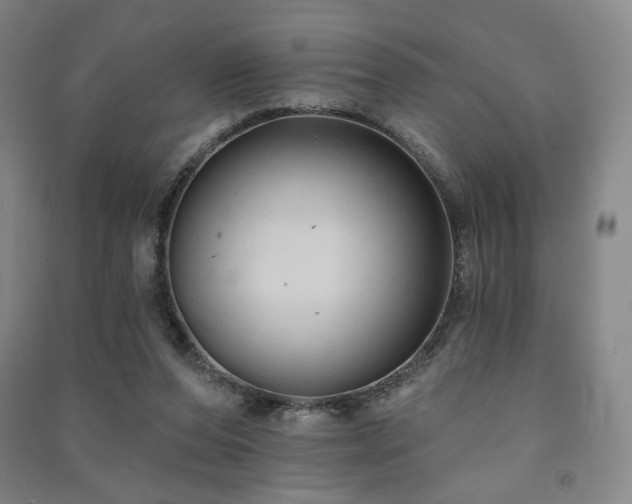 X0000091460208200708161529