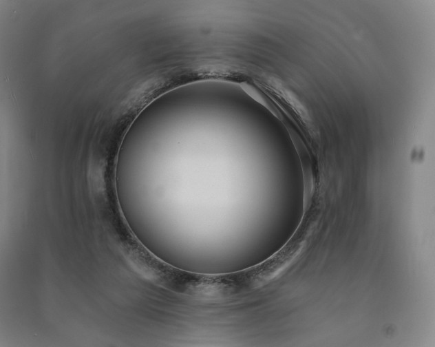 X0000091460209200708161529