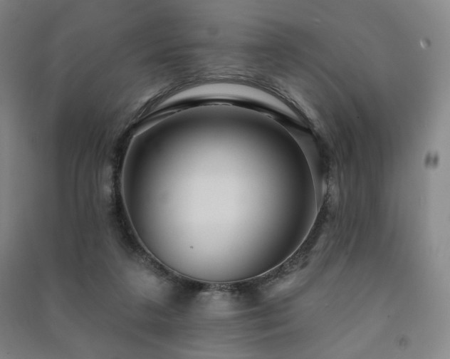X0000091460211200708161529
