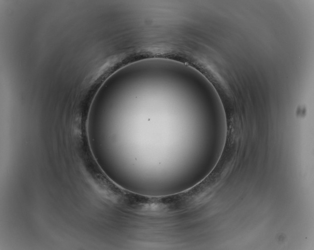 X0000091460212200708161529