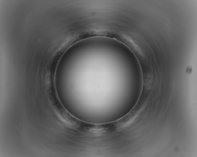X0000091460213200708161529