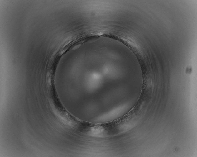 X0000091460214200708161529