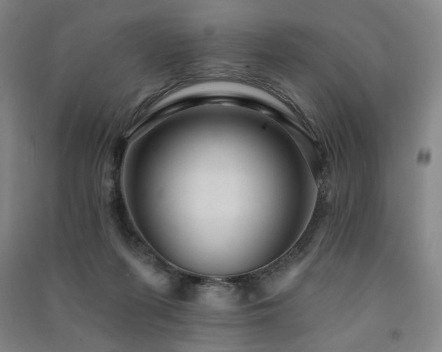 X0000091460215200708161529