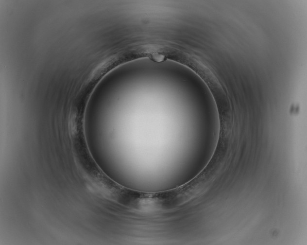 X0000091460216200708161529
