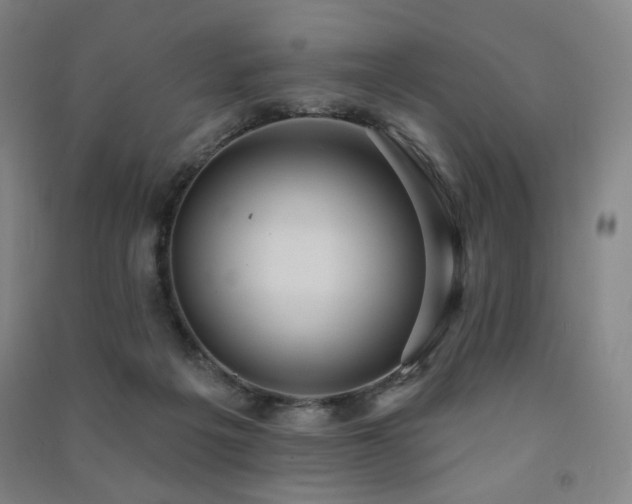 X0000091460217200708161529