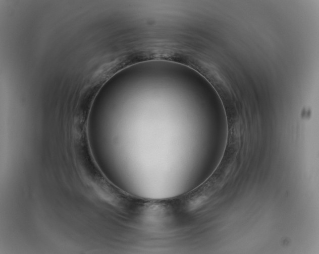 X0000091460218200708161529