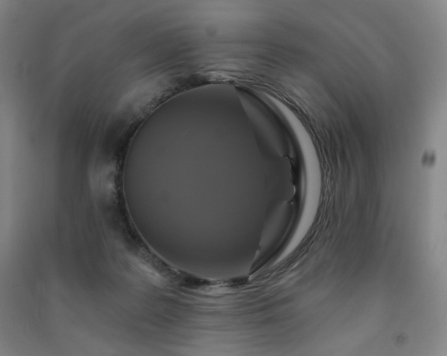 X0000091460219200708161528